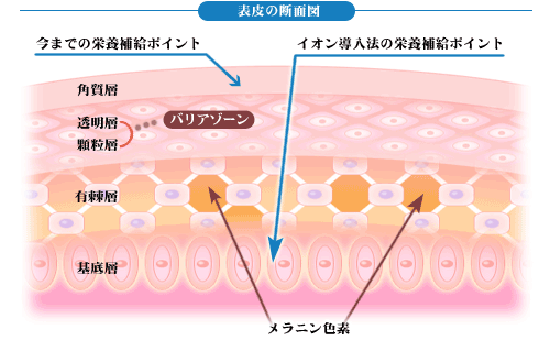 バリアゾーンのイラスト